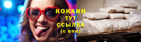 гидра Кулебаки