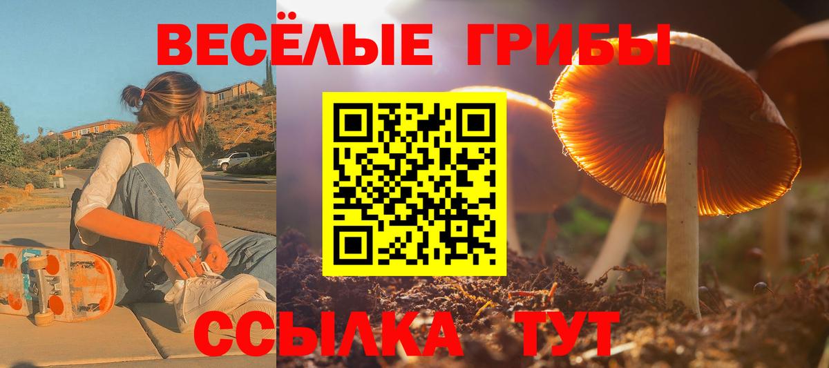 Благовещенск  Псилоцибиновые грибы Magic Shrooms  Вход с VPN 